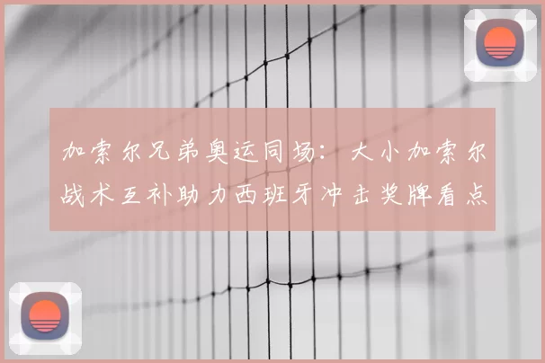 加索尔兄弟奥运同场:大小加索尔战术互补助力西班牙冲击奖牌看点