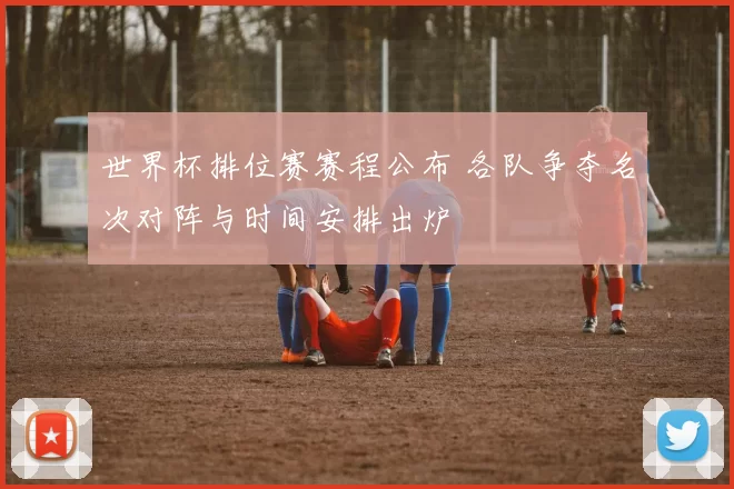 世界杯排位赛赛程公布 各队争夺名次对阵与时间安排出炉