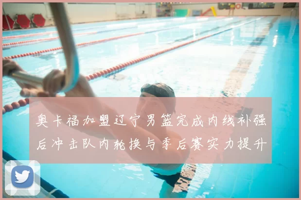 奥卡福加盟辽宁男篮完成内线补强后冲击队内轮换与季后赛实力提升