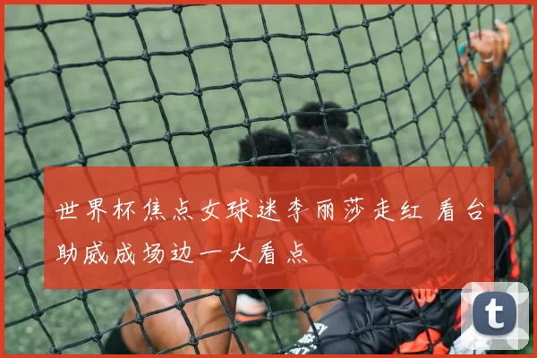 世界杯焦点女球迷李丽莎走红 看台助威成场边一大看点