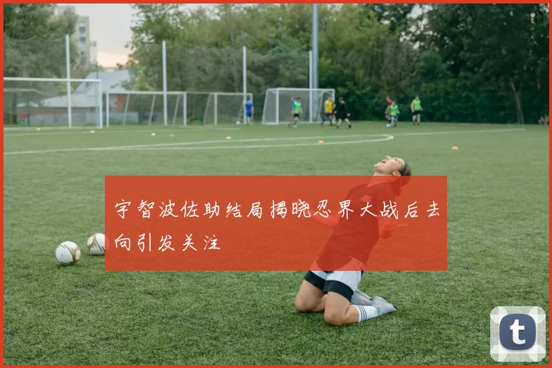 宇智波佐助结局揭晓忍界大战后去向引发关注